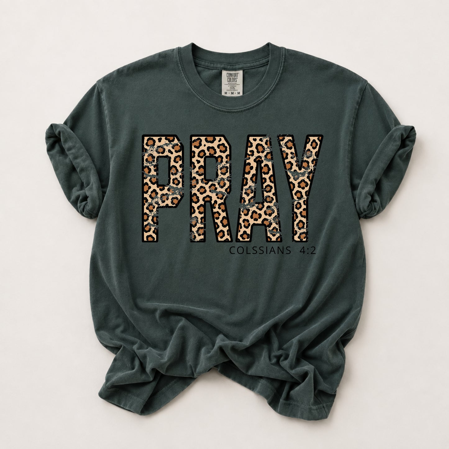Pray Leopard Tee in Blue Spruce